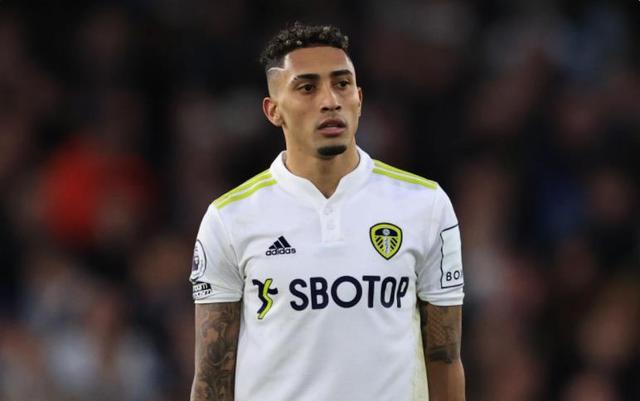 深知伤病对 深知伤病对